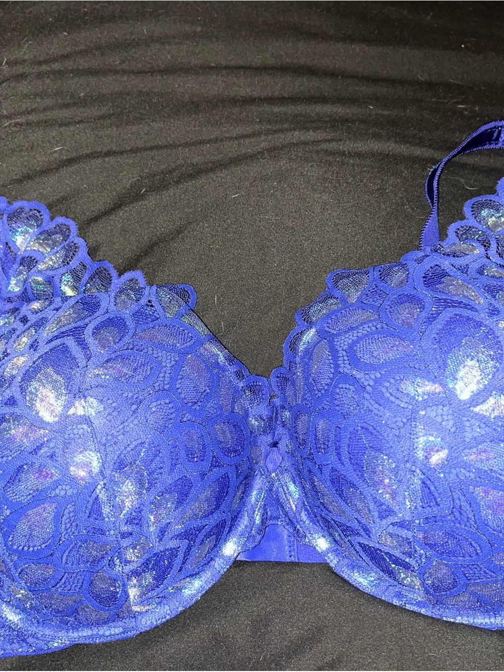 torrid Royal Blue Lace Push-Up Bra